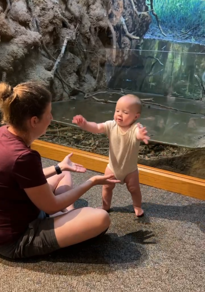 Congaree First Steps