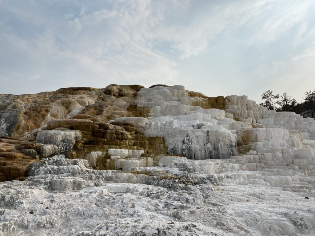 Mammoth Hot springs Yellowstone