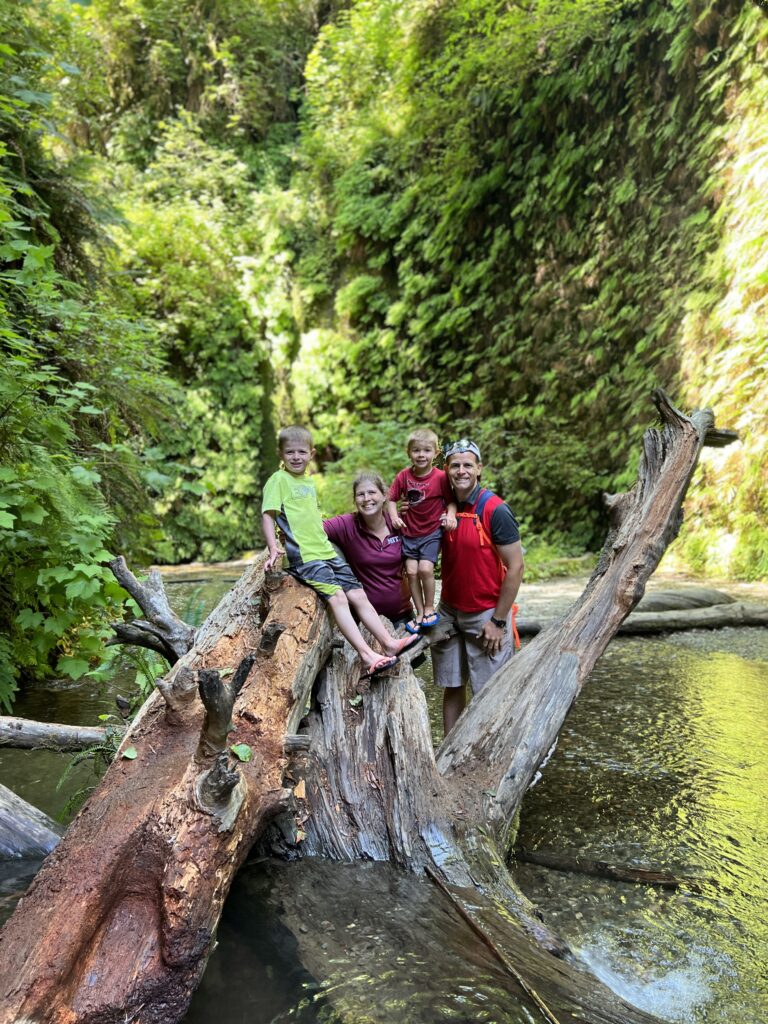 Redwoods Fern Canyon