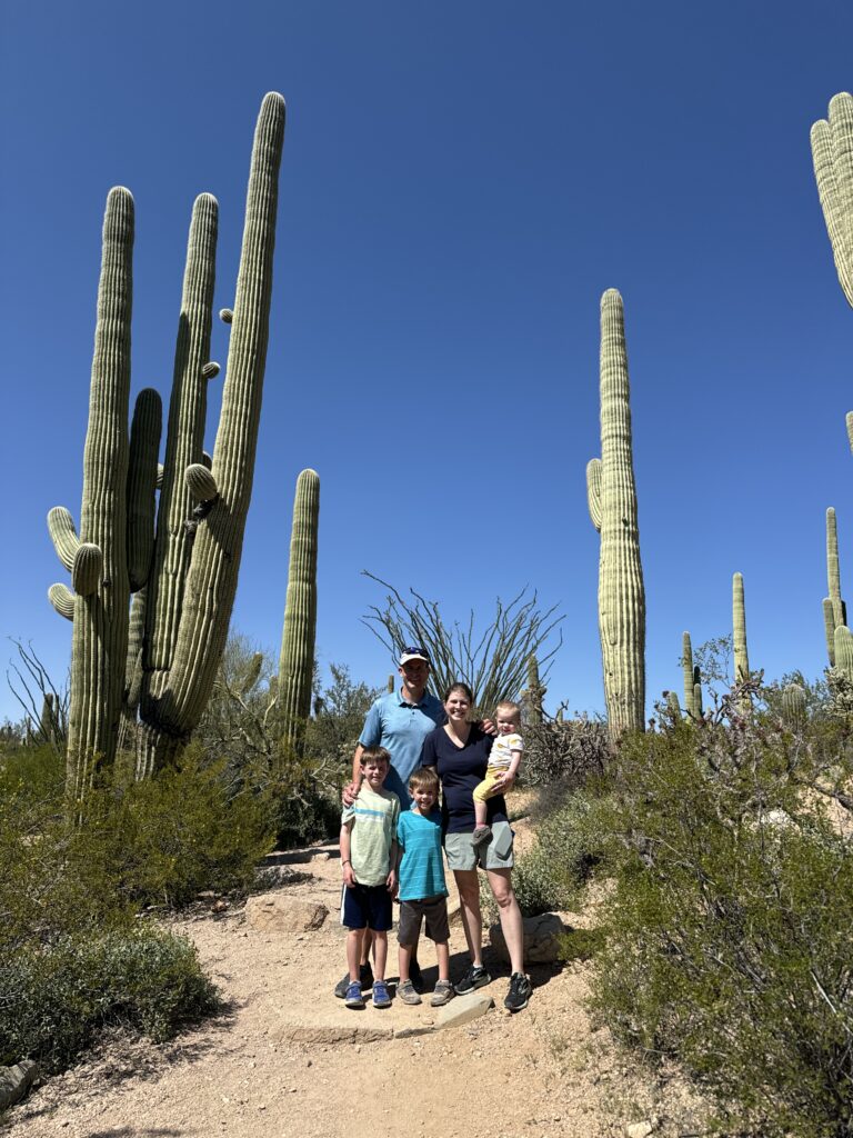 Saguaro